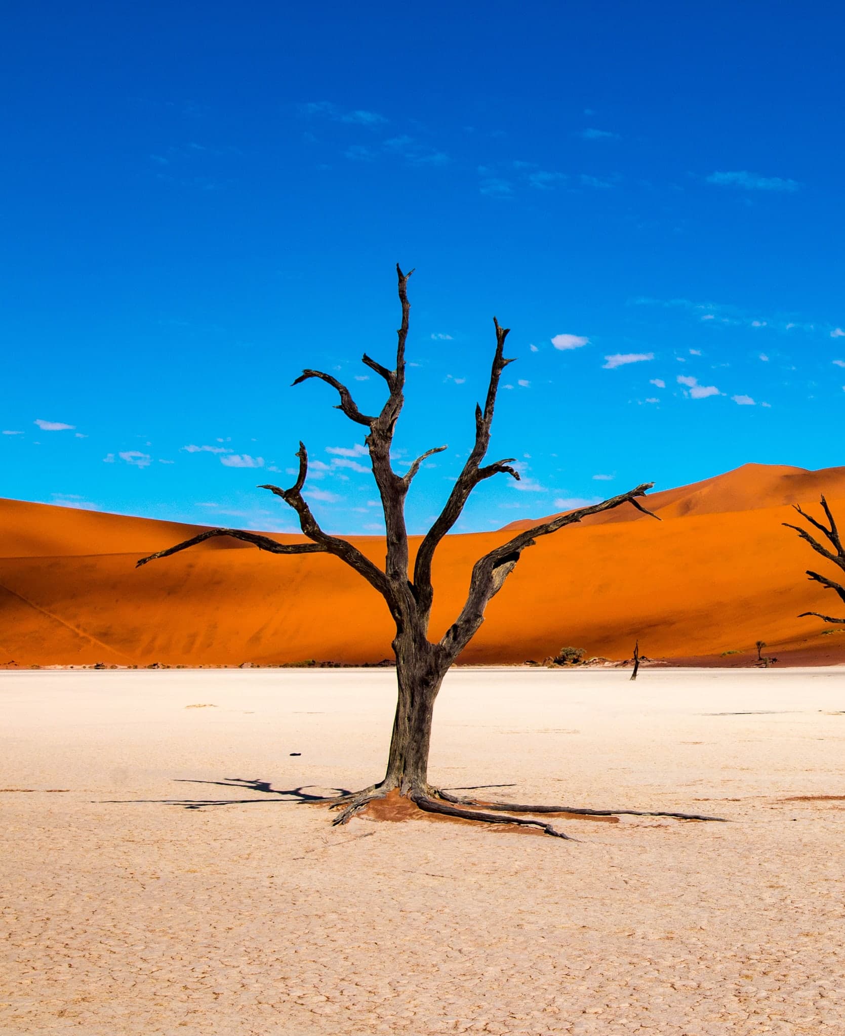 Namibia 