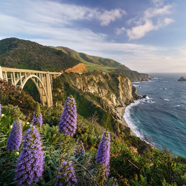 New York & California: Roadtrip Dreams & National Wonders!