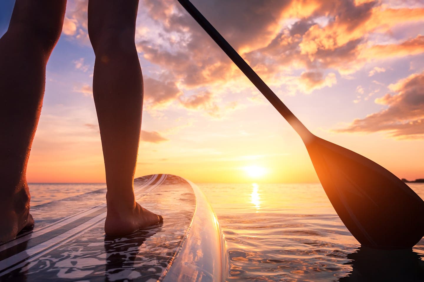 Stand-up paddle tour at sunrise thumbnail