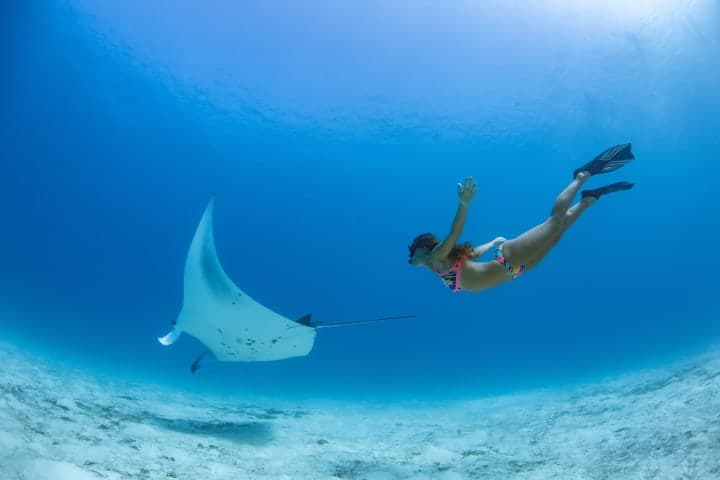 Snorkelling tour around Nusa Penida from Nusa Dua thumbnail