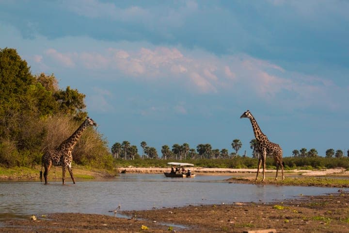 Boat tour on the Rufiji River thumbnail