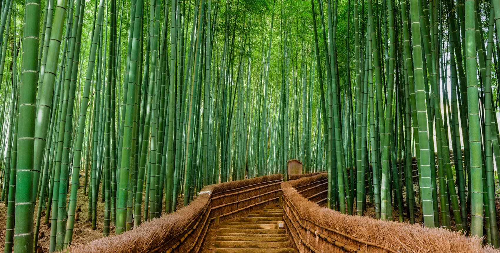 Iconic Japan