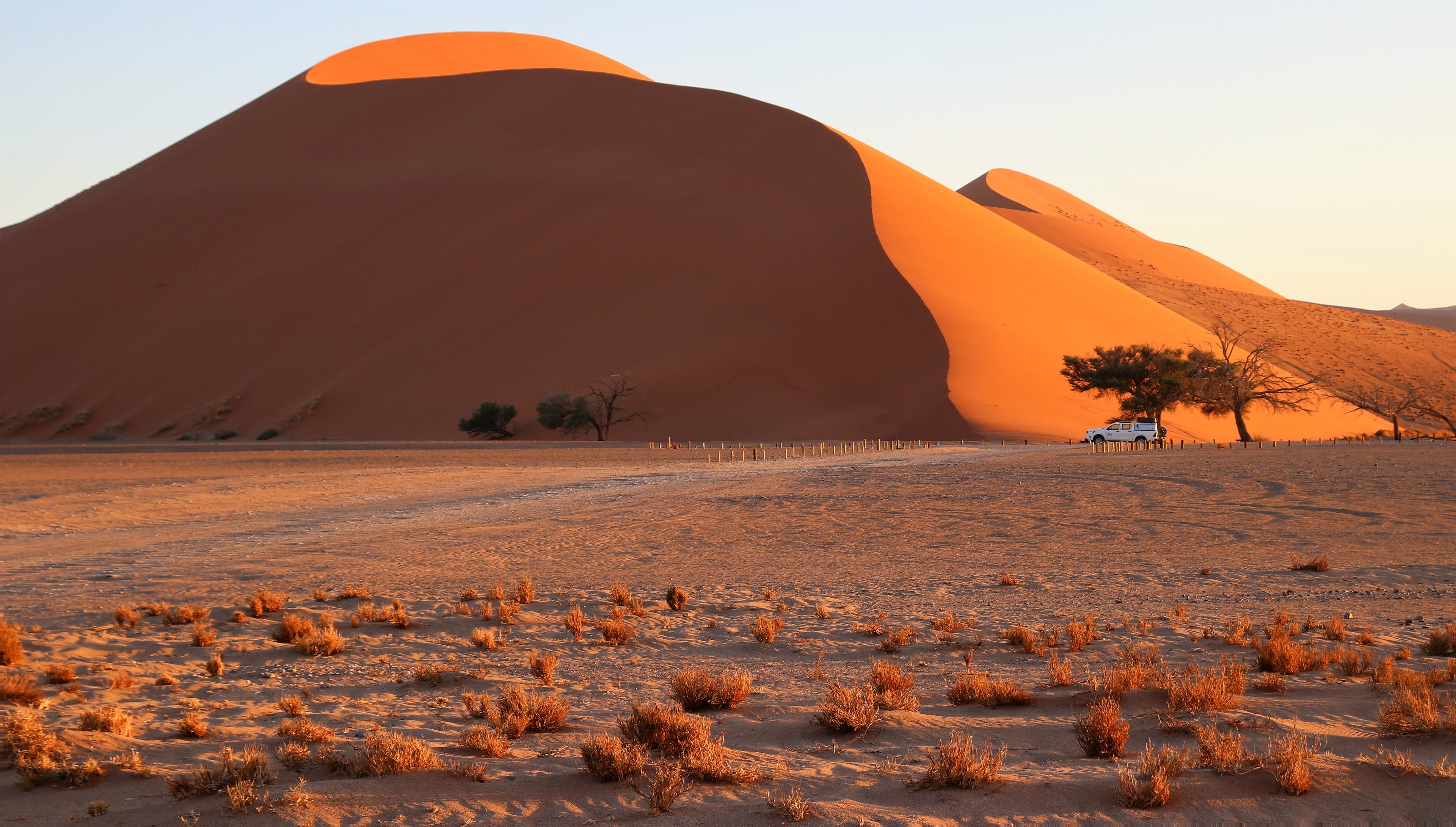 Namib Desert
